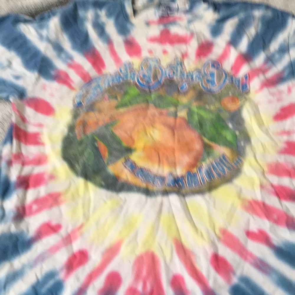 COPY - Allman bros tee